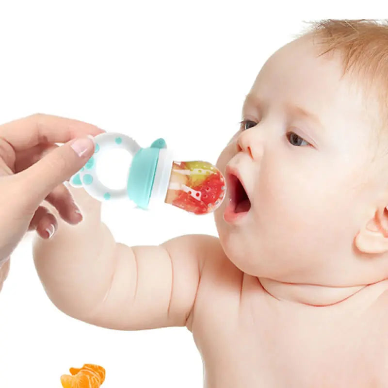 2-in-1 Baby Feeder & Fruit Pacifier
